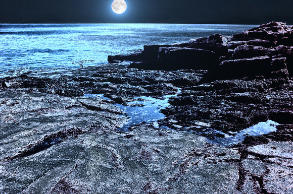 Seacoast Moonrise