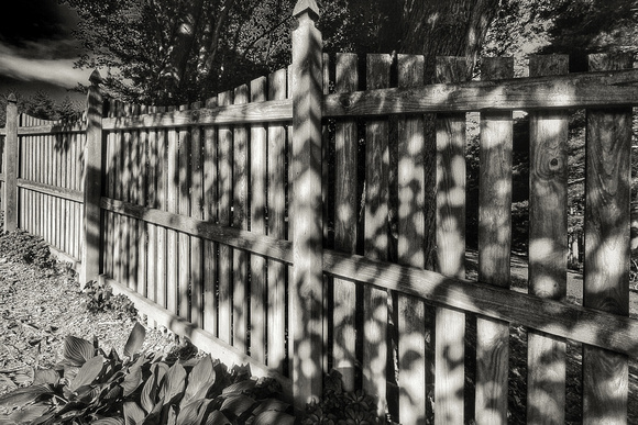 Shadowy Fence