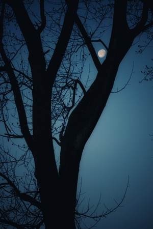 Morning Moon - Jan 10, 2023