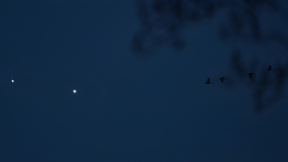Jupiter, 4 Moons A-Floating, Venus, and 4 Geese A-Flying