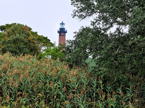 Lighthouse and Marshland Grasses