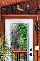 Door View