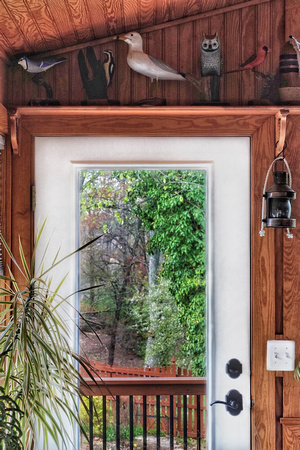 Door View