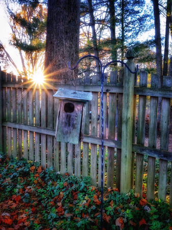 Sunset Over the Birdhouse