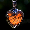 Monarch Heart