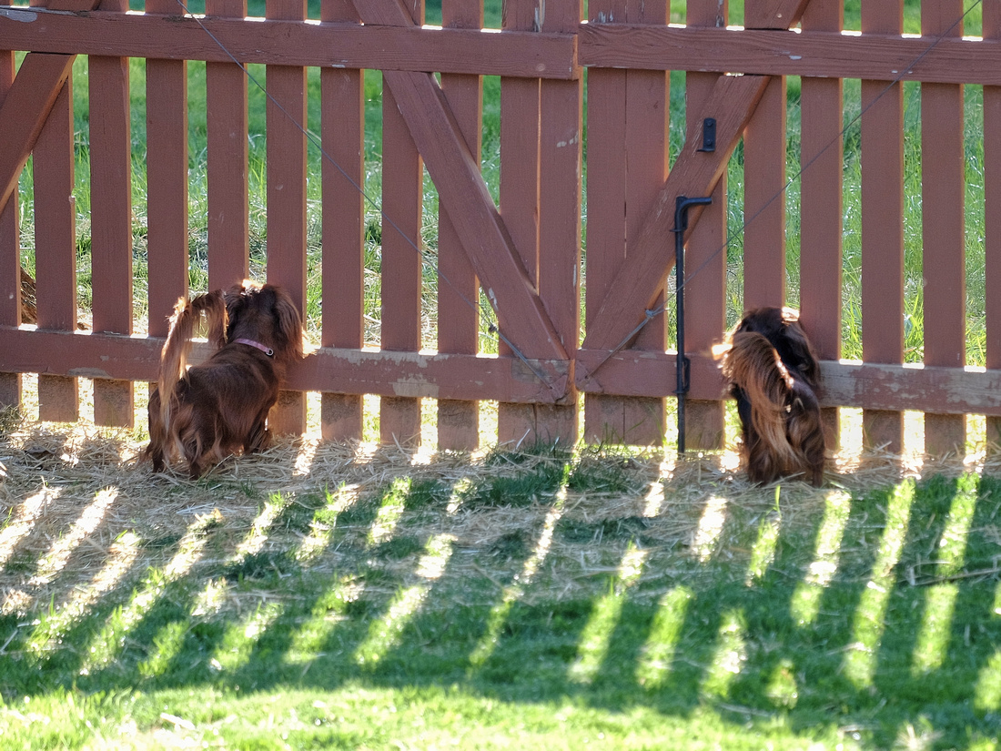 The Gate Sentries at the Castle of Orr