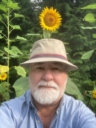 A Sunflower Kind of Poet … or Not