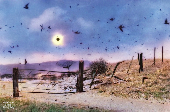Antonio Turok, Solar Eclipse, 1991. Colorized/Enhanced by D. W. Orr, 2023.