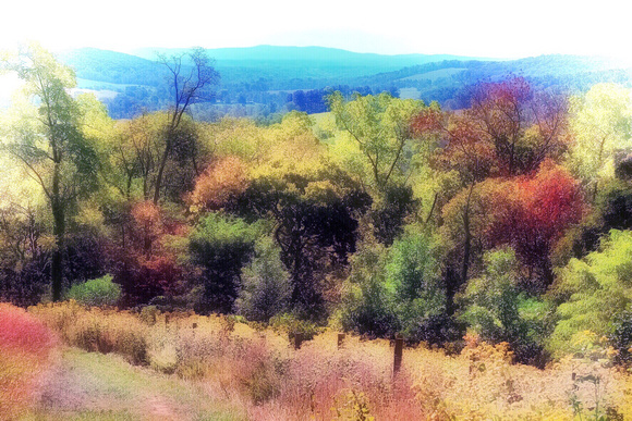 Shenandoah Autumn