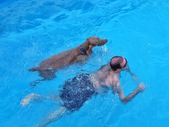 Swimming With My Buddy 1