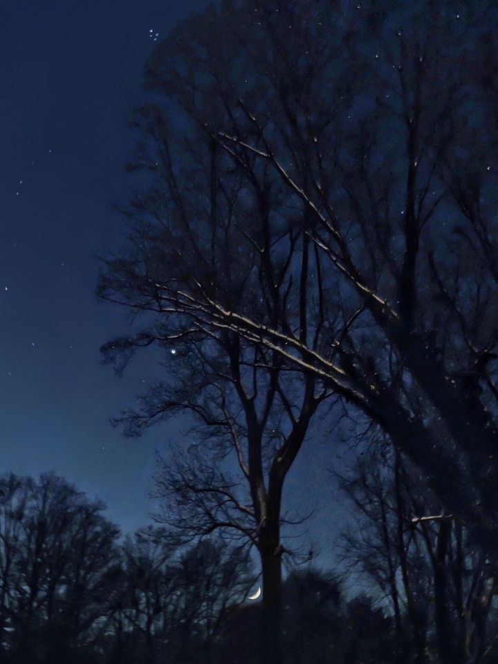 Pleiades, Jupiter, Moon Conjunction on a Snowy Evening