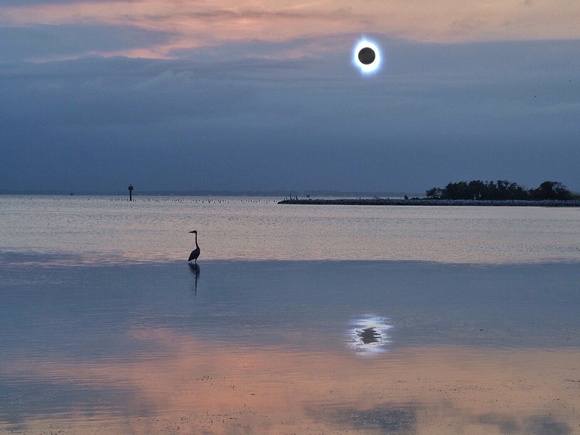 Solar Eclipse at Low Tide
