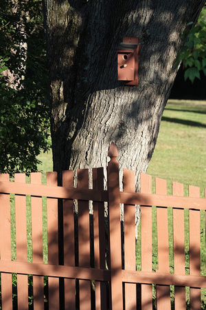 Birdhouse and Fence