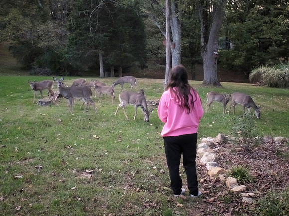 Miss K, the Deer Whisperer