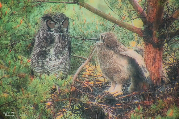 It’s Wet and Mommy Needs a Nap