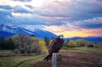 Sunrise at Mission Mountains (4/9/25)